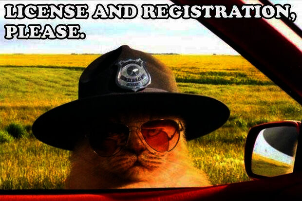 ‘Campus not a training area for drivers without a license'