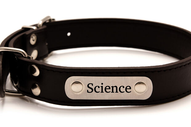 Dutch scientists are not on anybody’s leash