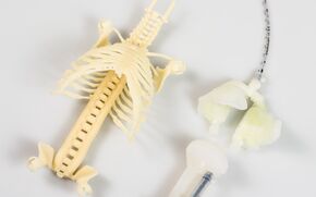 The skeleton with lungs. Photo | 3D Hubs The skeleton with lungs. Photo | 3D Hubs