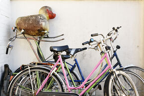 Foto | Bart van Overbeeke