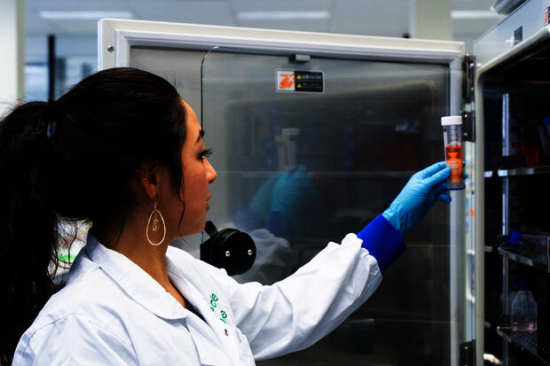 'Semi-human vase' connects art and science