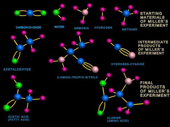 The ingredients of the Miller-Urey experiment.