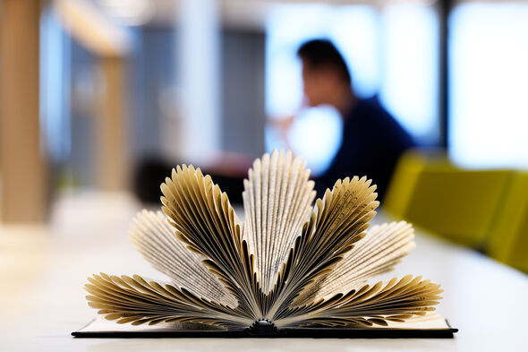Book folding art by Anne Fey. Photo | Bart van Overbeeke