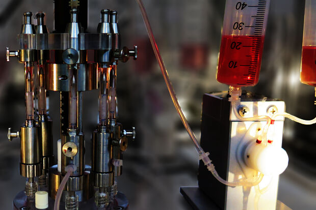 In het lab gecreëerde bloedvaten: mechanische stabiliteit telt
