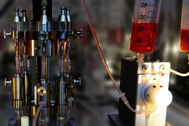 Lab-made blood vessels: mechanics matters