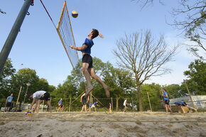 Foto | Bart van Overbeeke