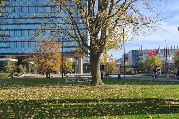 Dutch universities show thirteen shades of green