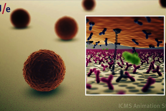 Zie hier piepkleine deeltjes, met een nanostreng aan een glazen plaatje verbonden, in Brownse beweging. Beeld: ICMS Animation Studio