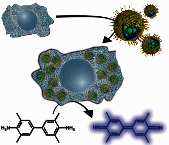 An functional artificial organelle.