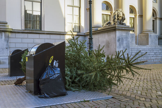 Wat gebeurde er zoal in de kerstvakantie?