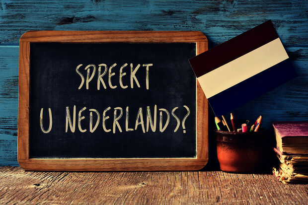 OECD: Of course foreign students should learn Dutch