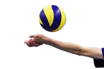 Foto | Bart van Overbeeke