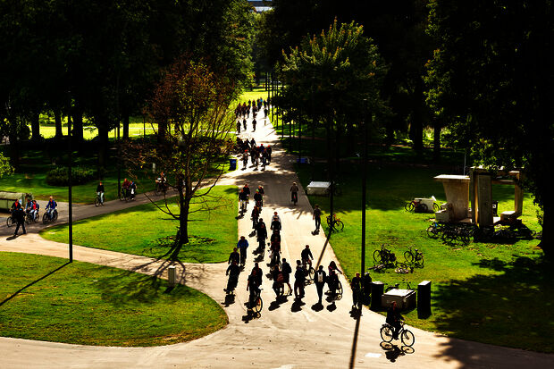 TU/e officially recognized as ‘bicycle-friendly’