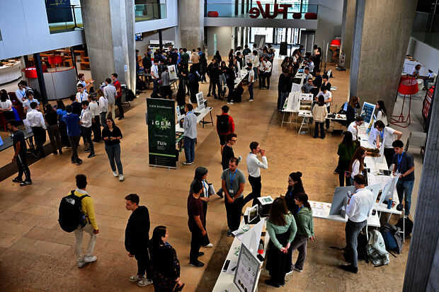 Honors students present 91,000 hours of research