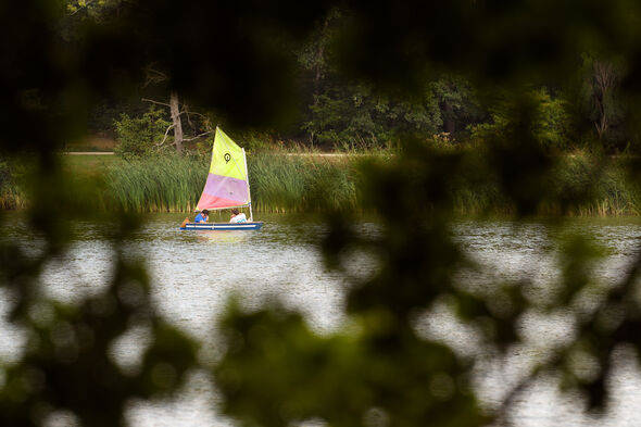 Workshop sailing. Photo | Bart van Overbeeke