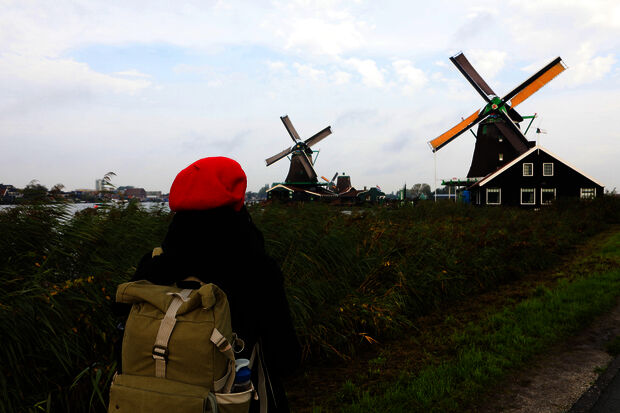 More international students stay on, especially in Amsterdam