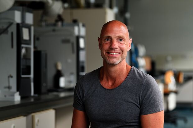 Why Professor Willem Mulder is concerned about removal paintings