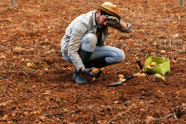 KNAW: find out how we stay healthy during the climate crisis