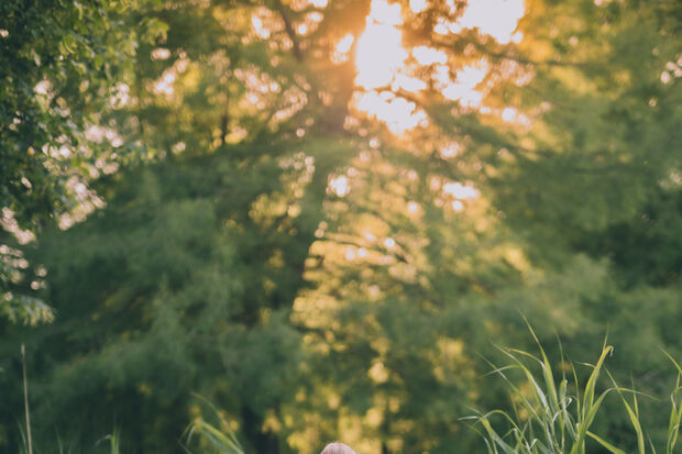 Home Stretch | A mathematical perspective on the placenta