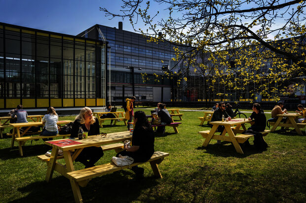 Noesis requests permanent chess tables for campus
