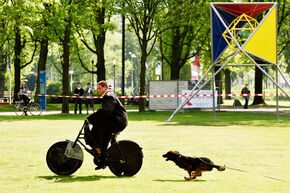 Demonstratie met politiehonden. Foto | Bart van Overbeeke