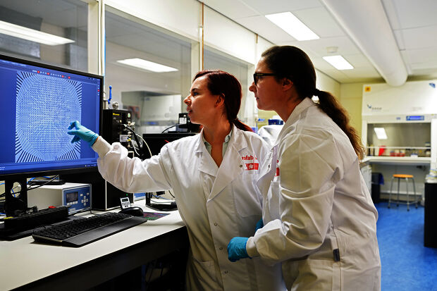 More and more female academics