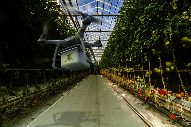 Wageningen yearns for the knowledge from Eindhoven