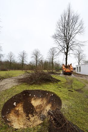 Weg! Foto | Bart van Overbeeke