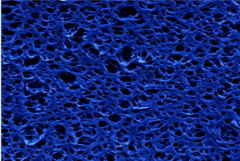 Oppervlak van een polymeermembraan, in beeld gebracht met een elektronenmicroscoop. Afbeelding  | MM/P