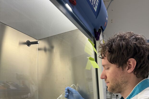 Sluitstuk | Nanovetbolletjes schudden immuuncellen wakker