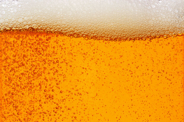 A thousand liters of free beer is flowing over the campus