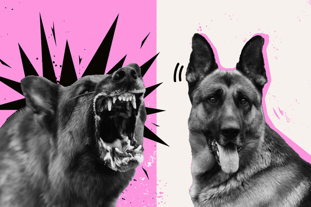 How to deal with polarization?