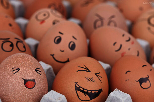 Brainmatters | Choices, Choices