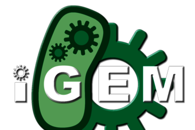 TU/e team reached iGEM finals