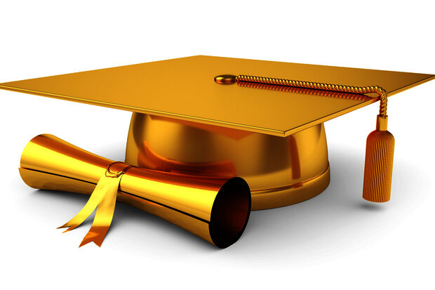 Elsevier: gold medals galore for Wageningen, Ede and Tio