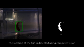 Fish on Wheels. Afbeelding | Studio diip Fish on Wheels. Afbeelding | Studio diip