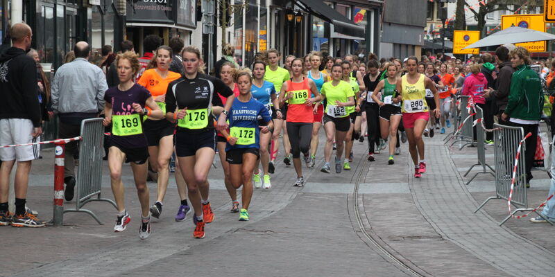 Batavierenrace 2013.