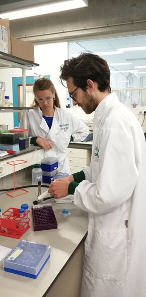 Het team in actie in het lab. Foto's | iGEM Eindhoven