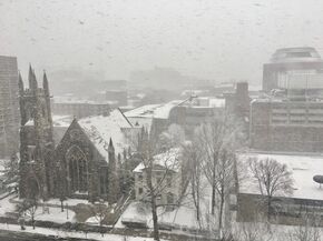 Uitzicht vanuit thuis tijdens sneeuwstorm Stella, de universiteit was gesloten.