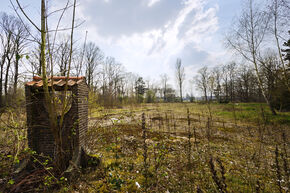 Het MMS-terrein. Foto | Bart van Overbeeke