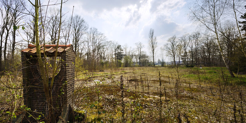 Het MMS-terrein. Foto | Bart van Overbeeke