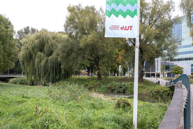 TU/e says “thanks, but no thanks” to Henk Visch sculpture