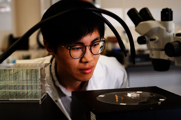 Home Stretch | Magnetic hairs for mini lab