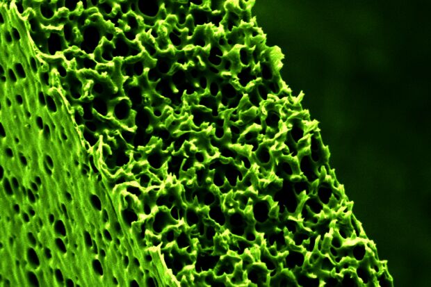 CursorOnTour@CE&C | Membranes for a sustainable future