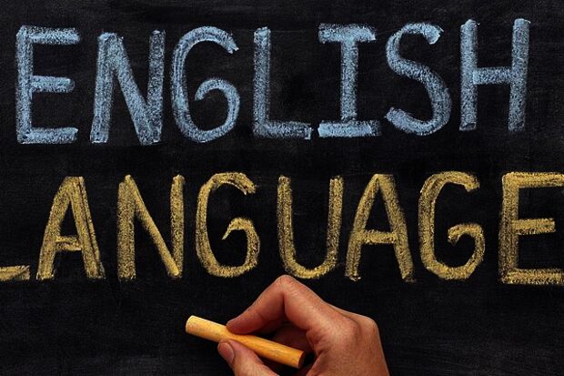 Minister reviews law on English-taught education