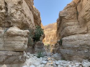 Wadi Arugot, part of the En Gedi Nature Reserve. Photo | Mark Legters
