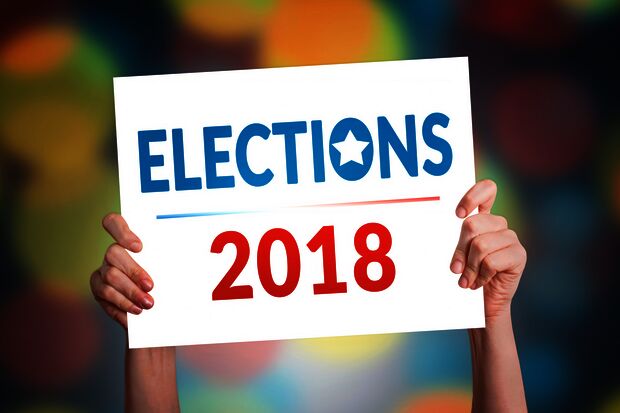 Student elections for University Council: spot the differences