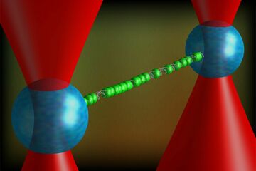 DNA is opgespannen tussen twee (polystyreen) balletjes (blauw) die vast worden gehouden in laserbundels (rood). Intercalatoren (groen) maken hypergestrekt DNA zichtbaar. Afbeelding: Iddo Heller / VU Amsterdam