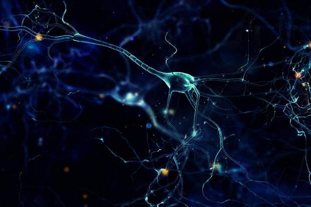 Six million for turbulence, neural networks, and Majoranas