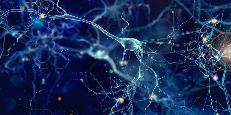 Neuraal netwerk. Illustratie | Shutterstock / whitehoune